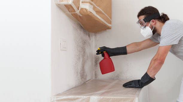Professional Mold Removal technician working in Richardsville, VA