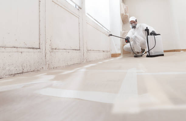 24/7 Emergency Mold Removal experts in Richardsville, VA