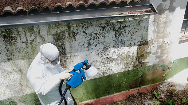 Top rated local Mold Removal specialists in Richardsville, VA